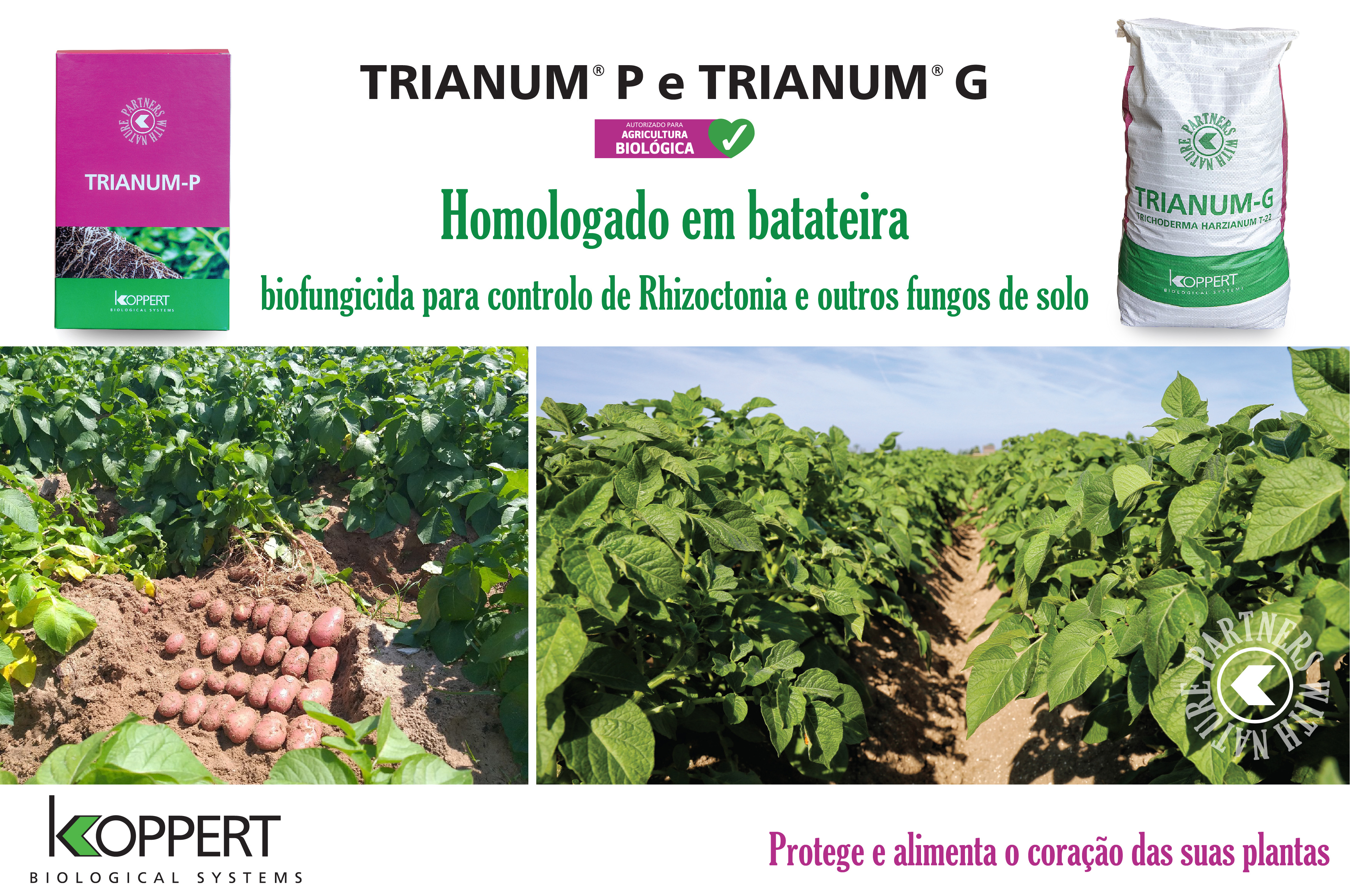 trianum